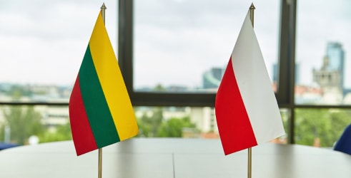 Оформление польских и литовских ветеринарных свидетельств